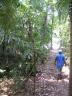 P 033.jpg