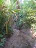 P 043.jpg