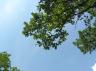 P7100077.JPG