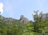 P7100078.JPG